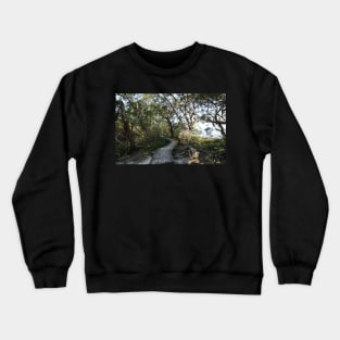 Boardwalk into the mangroves Crewneck Sweatshirt